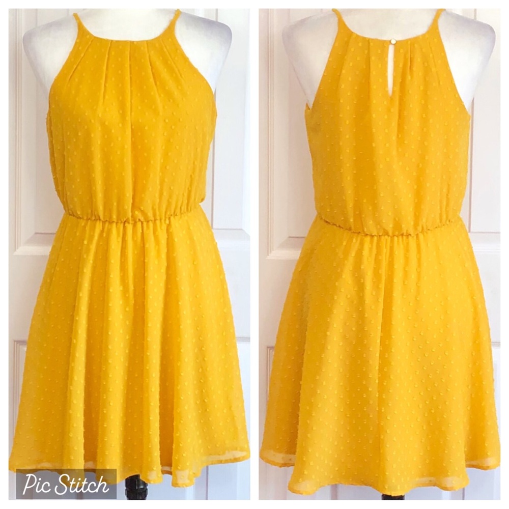 NWT Blue Rain Marigold Yellow Swiss Dot Fit & Flare Mini Dress Small